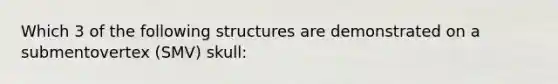 Which 3 of the following structures are demonstrated on a submentovertex (SMV) skull: