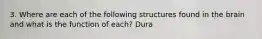 3. Where are each of the following structures found in the brain and what is the function of each? Dura