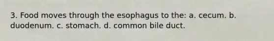 3. Food moves through the esophagus to the: a. cecum. b. duodenum. c. stomach. d. common bile duct.