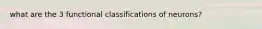 what are the 3 functional classifications of neurons?
