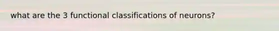 what are the 3 functional classifications of neurons?