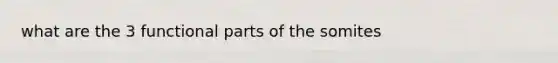 what are the 3 functional parts of the somites