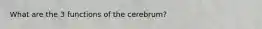 What are the 3 functions of the cerebrum?