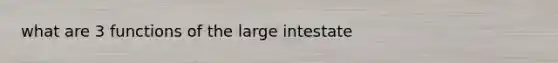 what are 3 functions of the large intestate