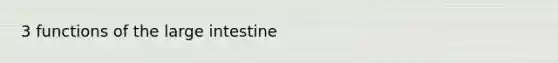 3 functions of the large intestine