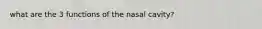 what are the 3 functions of the nasal cavity?