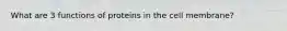 What are 3 functions of proteins in the cell membrane?