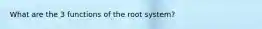 What are the 3 functions of the root system?