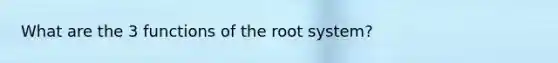 What are the 3 functions of the root system?