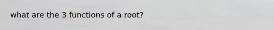 what are the 3 functions of a root?