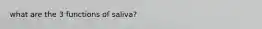 what are the 3 functions of saliva?