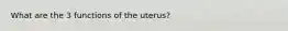 What are the 3 functions of the uterus?