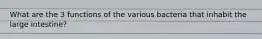 What are the 3 functions of the various bacteria that inhabit the large intestine?