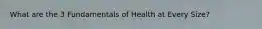 What are the 3 Fundamentals of Health at Every Size?