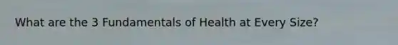 What are the 3 Fundamentals of Health at Every Size?