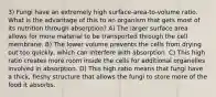 3) Fungi have an extremely high surface-area-to-volume ratio. What is the advantage of this to an organism that gets most of its nutrition through absorption? A) The larger surface area allows for more material to be transported through the cell membrane. B) The lower volume prevents the cells from drying out too quickly, which can interfere with absorption. C) This high ratio creates more room inside the cells for additional organelles involved in absorption. D) This high ratio means that fungi have a thick, fleshy structure that allows the fungi to store more of the food it absorbs.