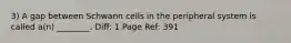 3) A gap between Schwann cells in the peripheral system is called a(n) ________. Diff: 1 Page Ref: 391