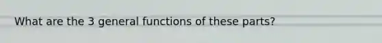 What are the 3 general functions of these parts?