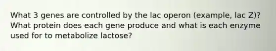 What 3 genes are controlled by the lac operon (example, lac Z)? What protein does each gene produce and what is each enzyme used for to metabolize lactose?