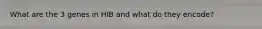 What are the 3 genes in HIB and what do they encode?