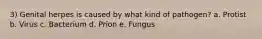 3) Genital herpes is caused by what kind of pathogen? a. Protist b. Virus c. Bacterium d. Prion e. Fungus