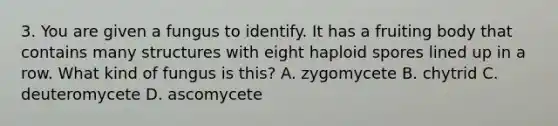 3. You are given a fungus to identify. It has a fruiting body that contains many structures with eight haploid spores lined up in a row. What kind of fungus is this? A. zygomycete B. chytrid C. deuteromycete D. ascomycete