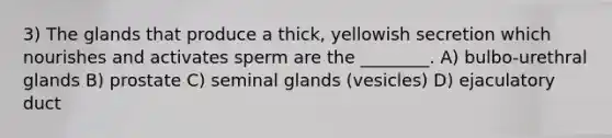 3) The glands that produce a thick, yellowish secretion which nourishes and activates sperm are the ________. A) bulbo-urethral glands B) prostate C) seminal glands (vesicles) D) ejaculatory duct