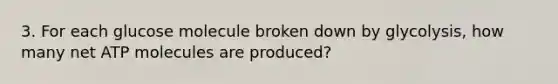 3. For each glucose molecule broken down by glycolysis, how many net ATP molecules are produced?