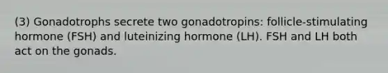 (3) Gonadotrophs secrete two gonadotropins: follicle‐stimulating hormone (FSH) and luteinizing hormone (LH). FSH and LH both act on the gonads.