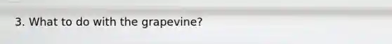 3. What to do with the grapevine?