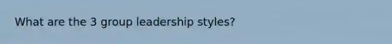 What are the 3 group leadership styles?