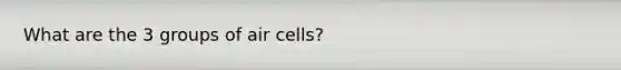 What are the 3 groups of air cells?