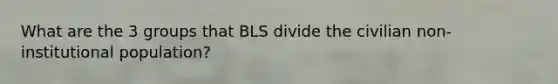 What are the 3 groups that BLS divide the civilian non-institutional population?