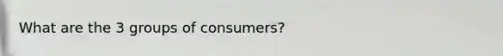 What are the 3 groups of consumers?