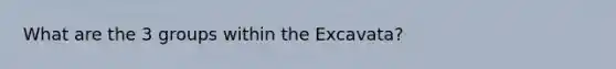 What are the 3 groups within the Excavata?