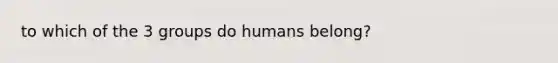 to which of the 3 groups do humans belong?