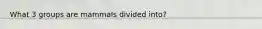 What 3 groups are mammals divided into?