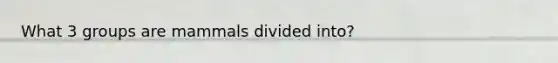 What 3 groups are mammals divided into?