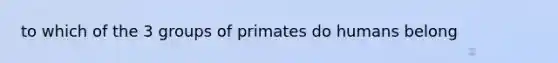 to which of the 3 groups of primates do humans belong