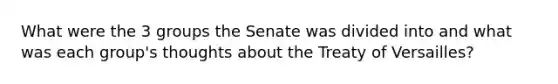 What were the 3 groups the Senate was divided into and what was each group's thoughts about the Treaty of Versailles?