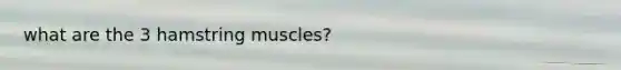 what are the 3 hamstring muscles?