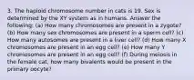 3. The haploid chromosome number in cats is 19. Sex is determined by the XY system as in humans. Answer the following: (a) How many chromosomes are present in a zygote? (b) How many sex chromosomes are present in a sperm cell? (c) How many autosomes are present in a liver cell? (d) How many X chromosomes are present in an egg cell? (e) How many Y chromosomes are present in an egg cell? (f) During meiosis in the female cat, how many bivalents would be present in the primary oocyte?