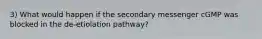 3) What would happen if the secondary messenger cGMP was blocked in the de-etiolation pathway?