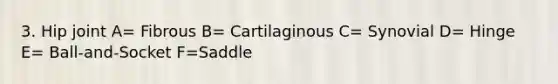 3. Hip joint A= Fibrous B= Cartilaginous C= Synovial D= Hinge E= Ball-and-Socket F=Saddle