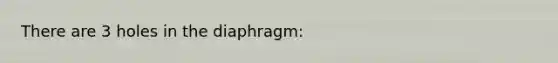 There are 3 holes in the diaphragm: