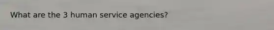 What are the 3 human service agencies?