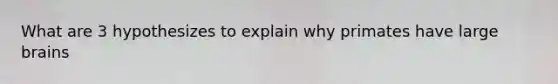 What are 3 hypothesizes to explain why primates have large brains