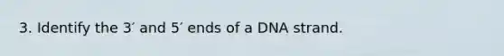 3. Identify the 3′ and 5′ ends of a DNA strand.