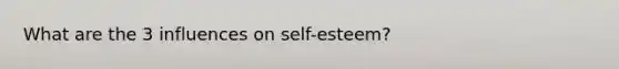 What are the 3 influences on self-esteem?