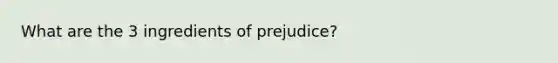 What are the 3 ingredients of prejudice?